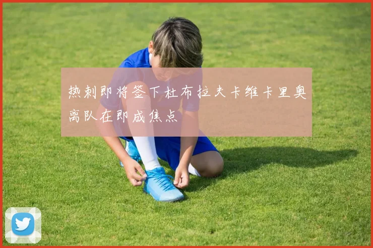 热刺即将签下杜布拉夫卡维卡里奥离队在即成焦点