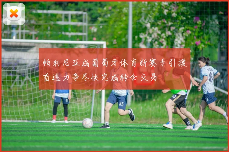 帕利尼亚成葡萄牙体育新赛季引援首选力争尽快完成转会交易